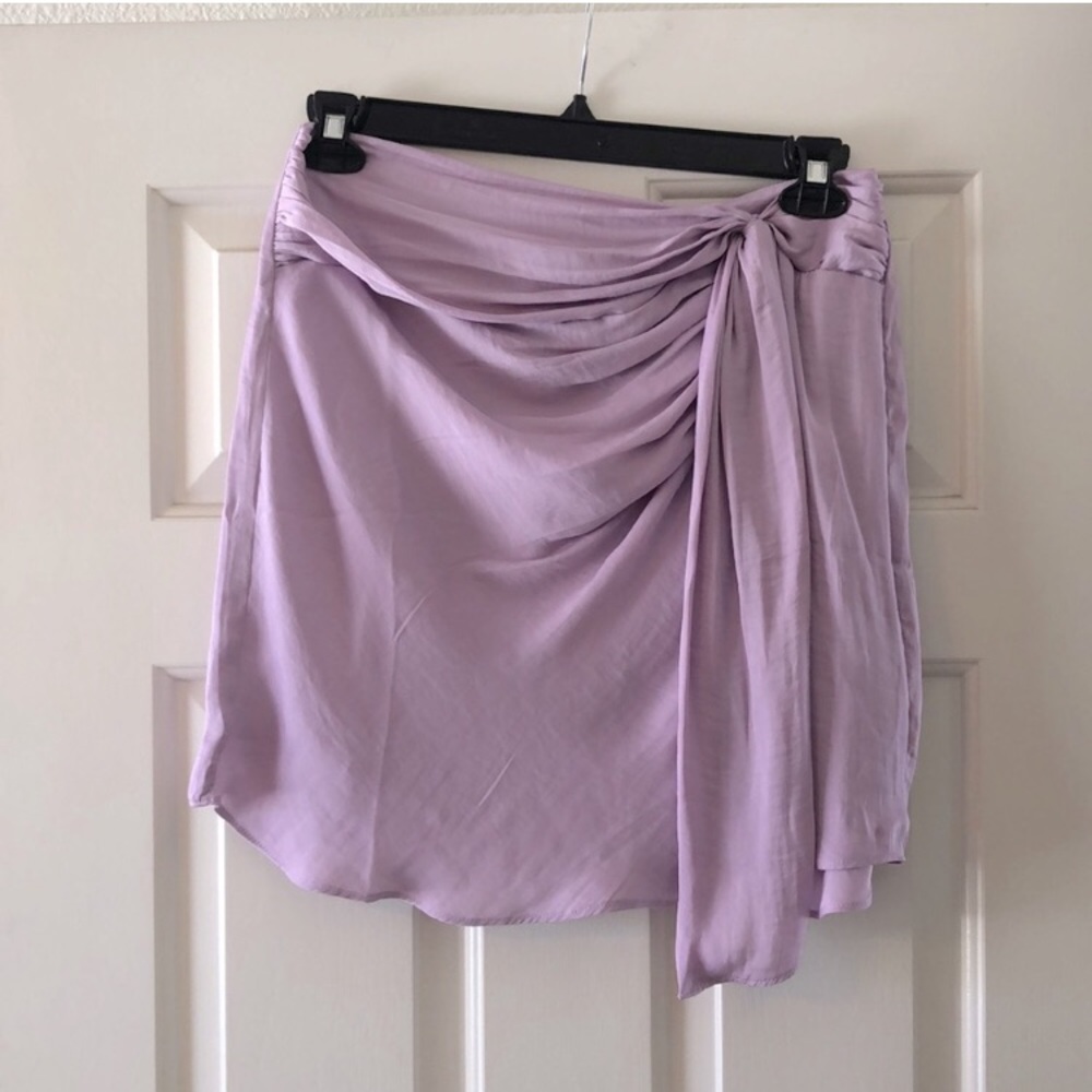 Naked Zebra High Waisted Mini Skirt